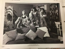 RIPRODUZIONE FOTO ALINARI LE SORELLE BANDIERA 18X24 cm 1979 (8)  