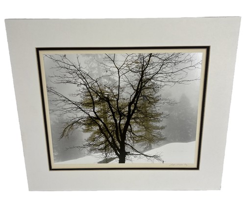 Robert bob werling - werling, tree