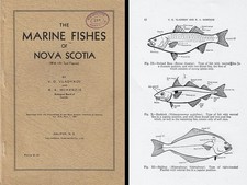 The Marine Fishes of Nova