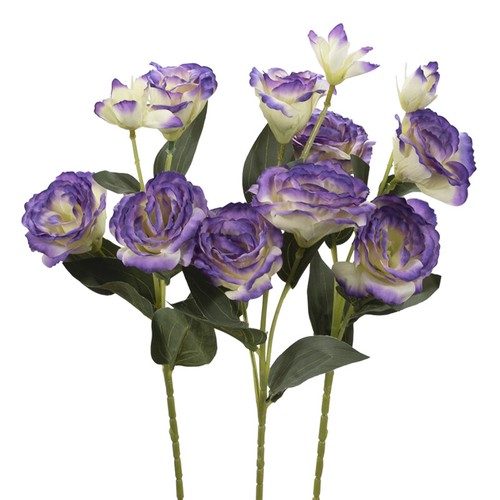 Colori pack 3 lisianthus - 3,