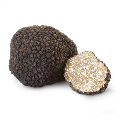 Tartufo nero estivo fresco - tartufo,