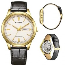 Citizen Day Date NY4059-09A