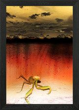 Poster arte da parete con
