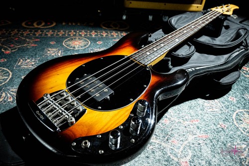 Music man stingray - stingray, basso
