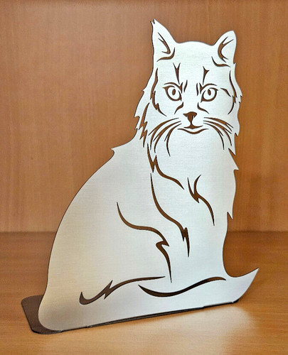 Espositore maine coon gatto - espositore,