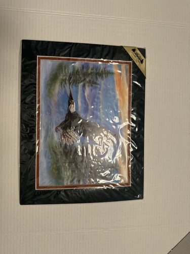 Stampa randall ogle - stampa, "soaring