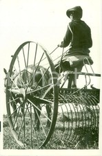1935 ca ROMA Giovane contadino su ranghinatore trainato da cavallo *Fotografia