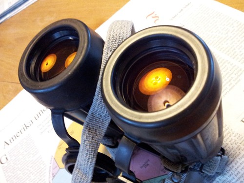 Binocolo carl zeiss - binocolo, jena