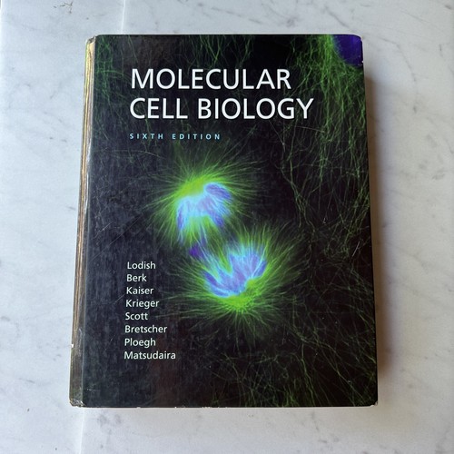 Molecular cell biology - molecular, by