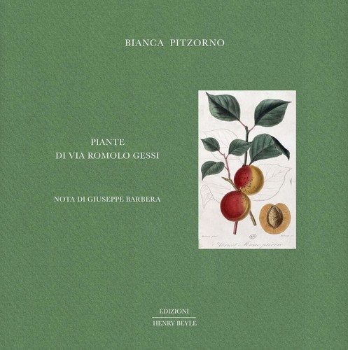 Libri bianca pitzorno - libri,