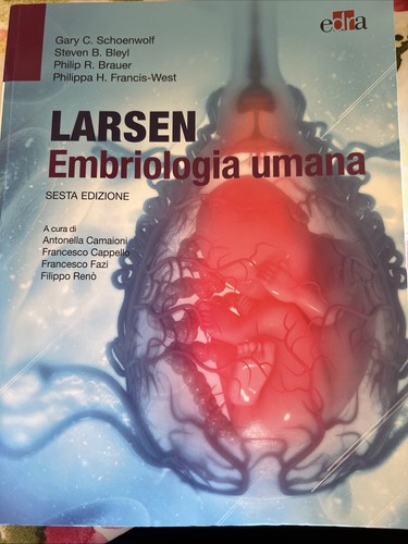 Larsen embriologia umana sesta - larsen,