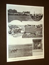 Russia 1906 Agitazione agraria Campo del Conte Orlow Denisow occupato cosacchi