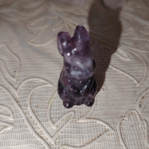 Collezione animali pietra - collezione,