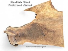 Fetta di legno radice di noce