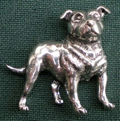 Stafford shire bullterrier - shire,