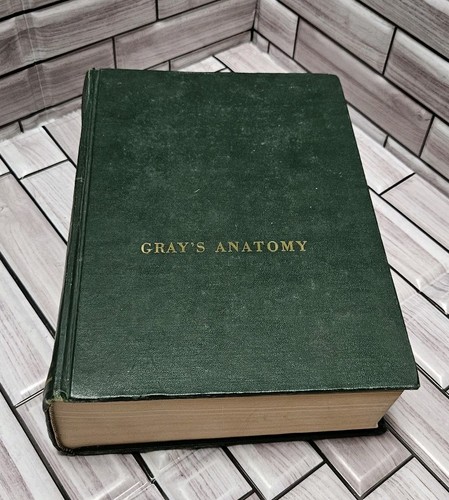Gray anatomy 1973 - anatomy,