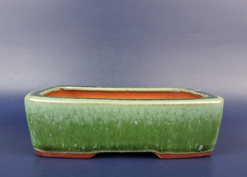 Vaso per bonsai giapponese