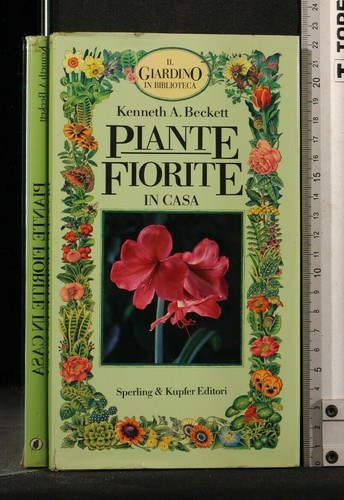 Piante fiorite casa - piante, in