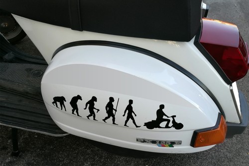 Adesivi evoluzione piaggio - evoluzione,