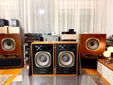 Raro ** Tannoy Eaton HPD 295A