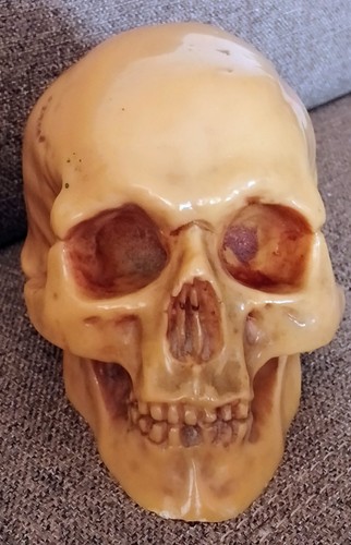 Memento mori teschio - memento,