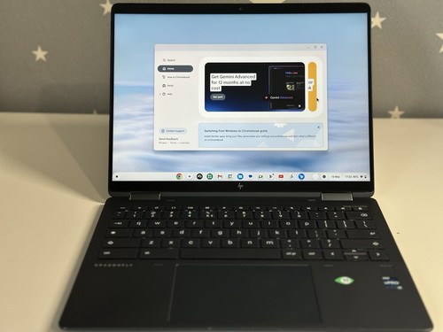 Elite dragonfly chromebook - dragonfly,