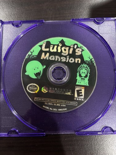 Luigi mansion nintendo - luigi's,