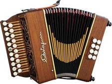 Castagnari Lilly D/G Melodeon