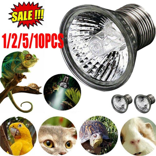 Lampada lampadina 75w - lampada,