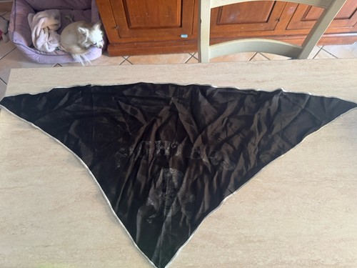 Rarissimo foulard bandana