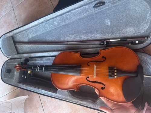 Violino