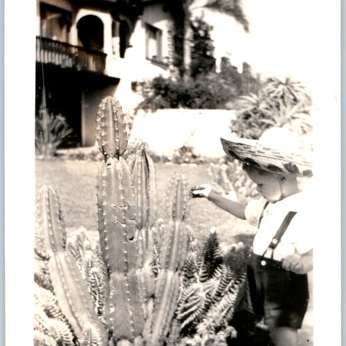 Cappello paglia sombrero - cappello,