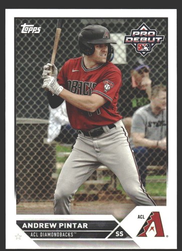 Andrew pintar 75 - #pd-75, 2023