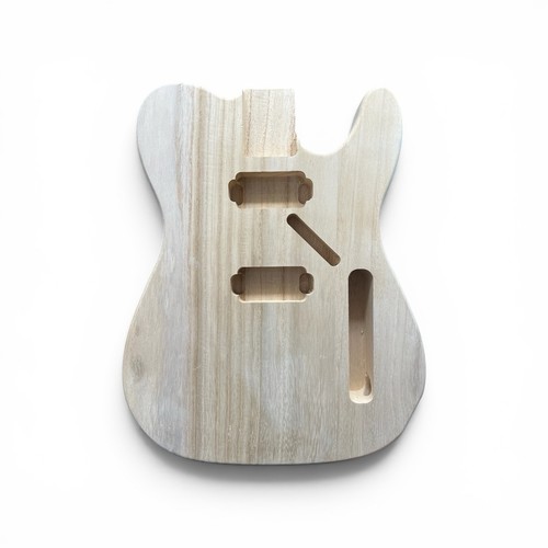 Corpo progetto chitarra - corpo,