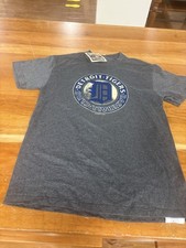 Shirt detroit tigers mlb - detroit,