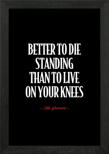 Che guevara poster arte - guevara,