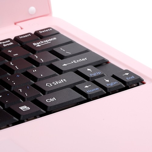 Netbook portatile rosa spina