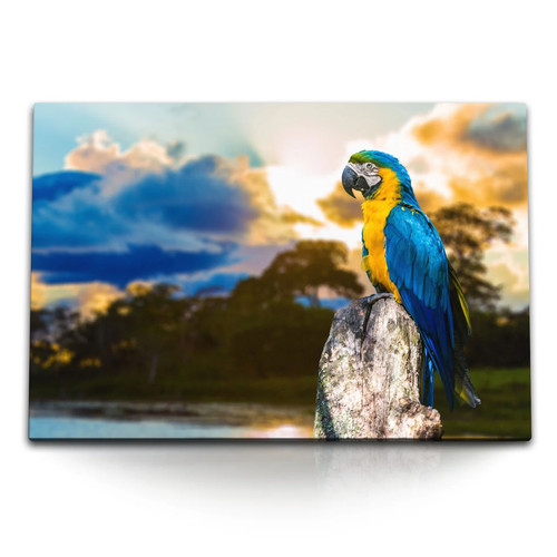 Quadro tela 120x80 cm - su,
