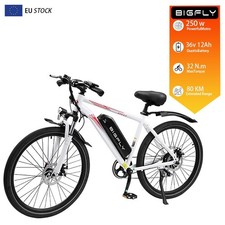 Bicicletta elettrica 26''