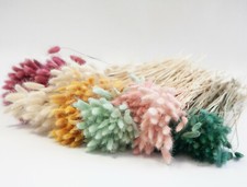 Bouquet di fiori essiccati