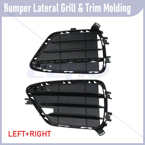 New front bumper grid - grid, lateral