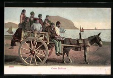 Carro Siciliano, Asino