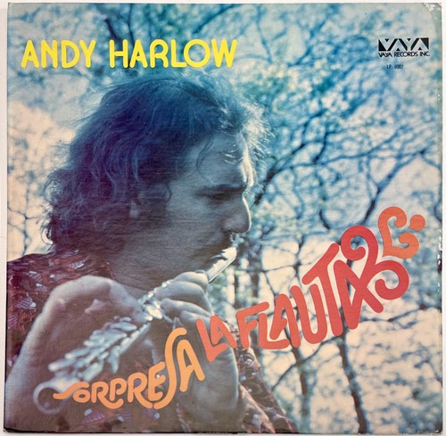 Andy harlow sorpresa - andy,