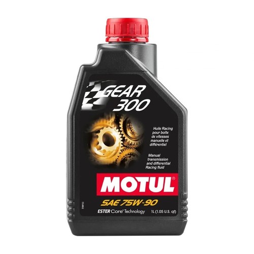 Olio 100 sintetico - olio, 100%