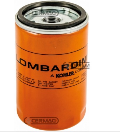 Filtro olio per motore