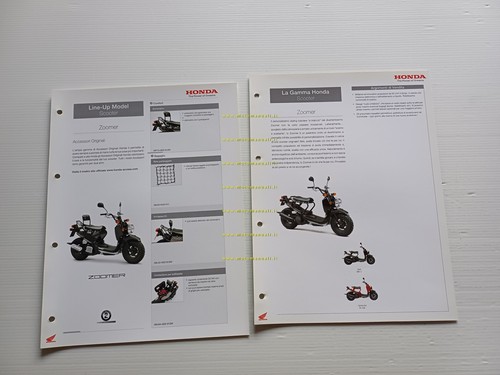 Honda zoomer estratto - honda,