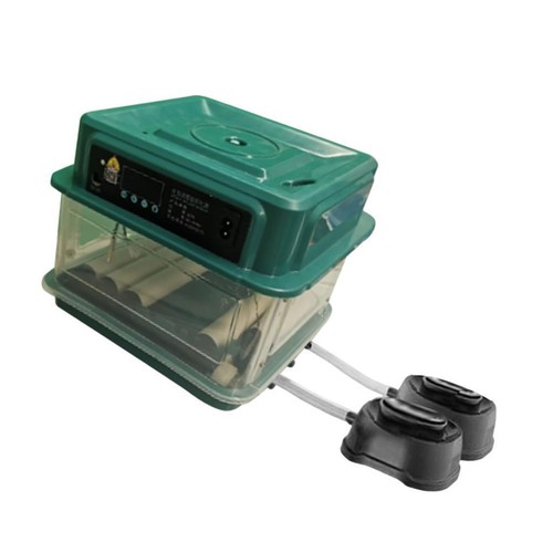 Incubatrice automatica per