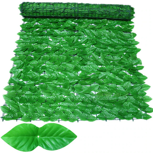 500cm edera schermo - 50×500cm,