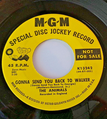 The animals baby let me - 7",