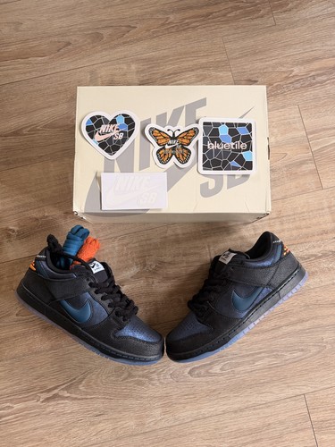 Nike dunk low - pro, bluetile